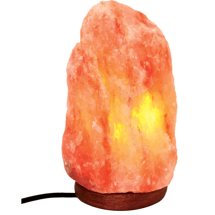 World Menagerie Alysbury 16cm Salt Lamp & Reviews Wayfair.co.uk